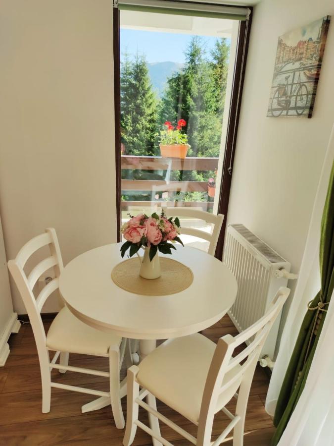 Green Studio Predeal Εξωτερικό φωτογραφία