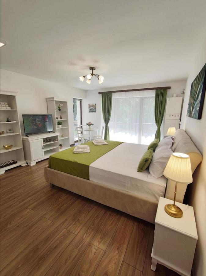 Green Studio Predeal Εξωτερικό φωτογραφία