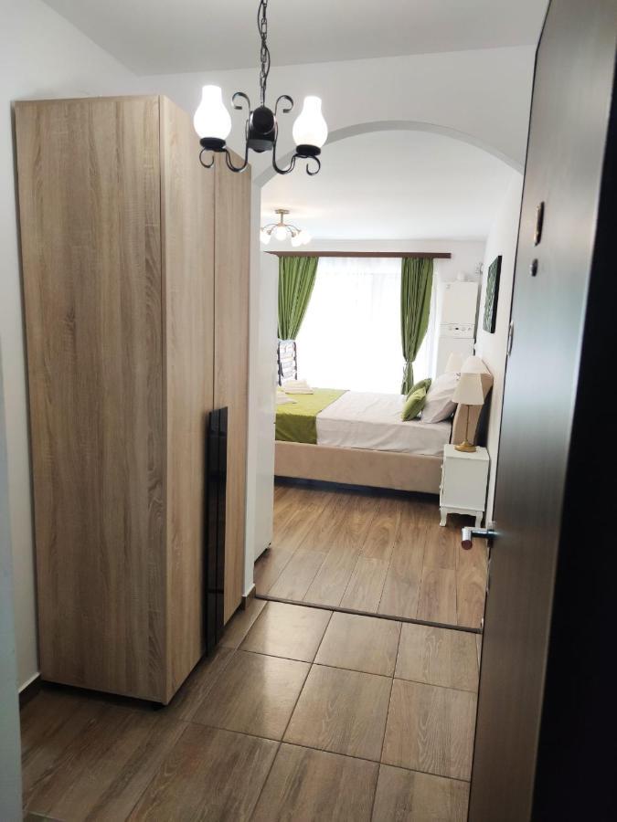 Green Studio Predeal Εξωτερικό φωτογραφία