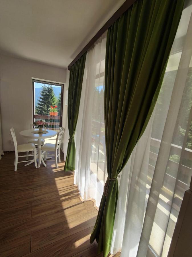 Green Studio Predeal Εξωτερικό φωτογραφία